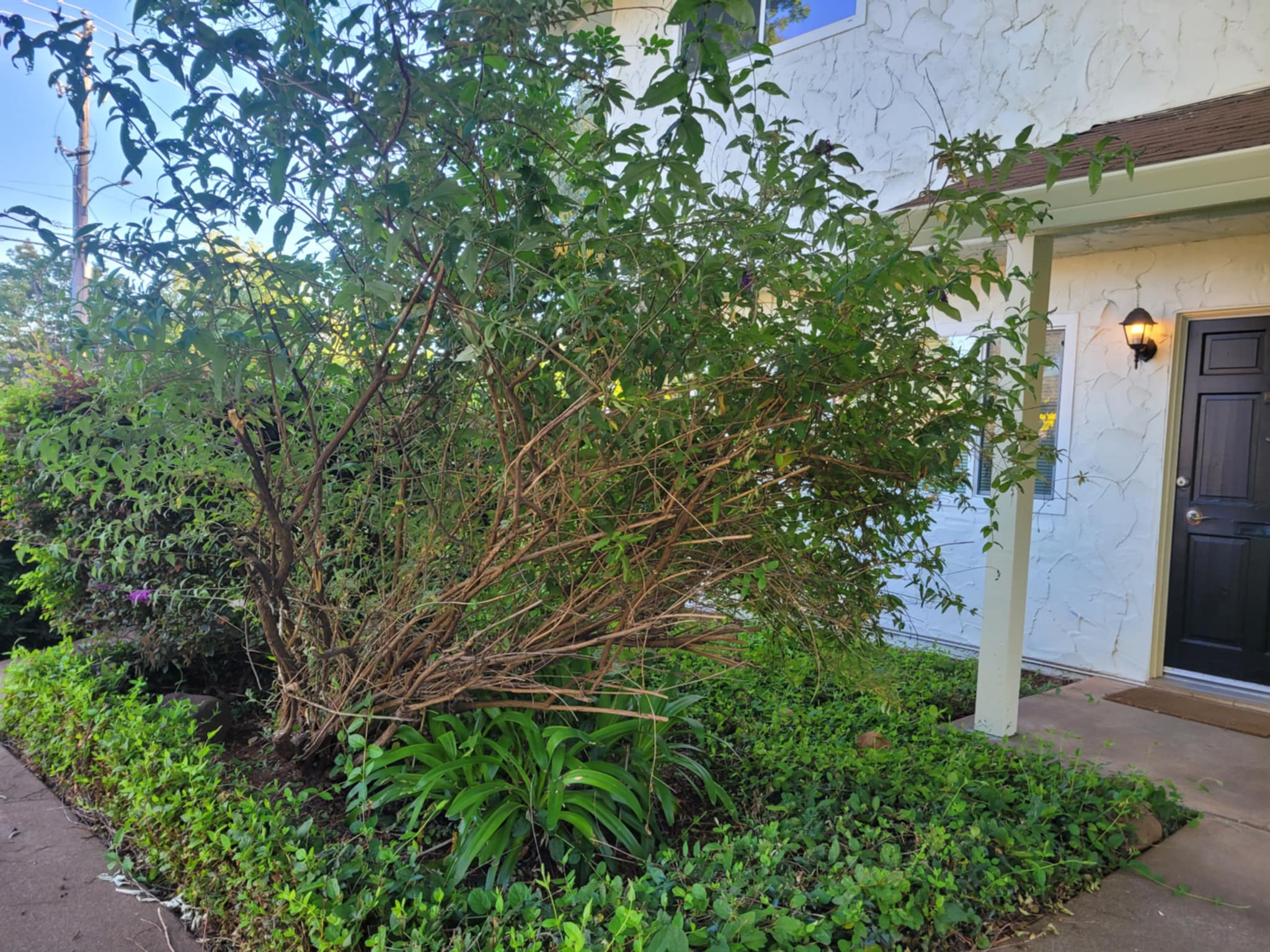 1464 Manzanita Avenue - 7