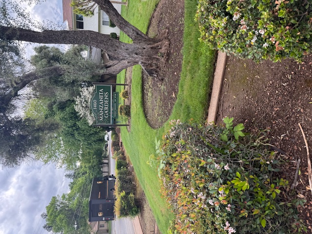 1462 Manzanita Avenue - 8